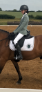 Selle dressage Forestier Aachen 2 - 16 pouces