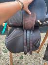 Selle de la marque Ikonic