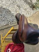 Selle cwd 