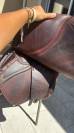 Selle CWD 2gs Mademoiselle SE31, taille 17.5, 2025