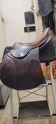 Selle ANTARES Mixte 2023 16.5 pouces