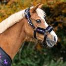 Set licol et longe Isalyn - QHP - Rembourr&eacute; doux