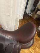 Selle antares cadence 