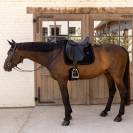 Tapis Velvet Mini Pearl Dressage - Kentucky - Velours luxueux