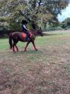 Jumpin Herv&eacute; godignon 17&rsquo; 