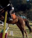Jumpin Herv&eacute; godignon 17&rsquo; 