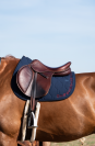 Tapis de selle Essentiel - GEM - Design moderne