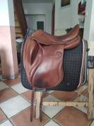 Darroze dressage 17