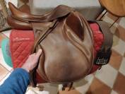 Darroze dressage 17
