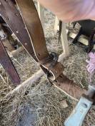 Selle western taille cob 