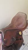 Selle Jean-Luc Maurel Pro'Gress 17,5
