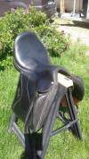 Selle dressage 