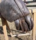 Selle mixte 
