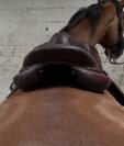 Selle Antar&egrave;s Connexion 17,5 &ndash; 3A+2 &ndash; 2022