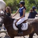 Selle Meyer 17 pouces - CSO