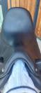 Selle dressage ANTARES Tempo neuve 2026