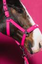 Licol Softshell Double Pin Dynamic 26 - Eskadron - Haute performance