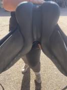Sella da dressage Wintec  17.5" - 2016