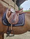 Selle de dressage Darroze
