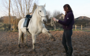 Selle Zaldi Luso Deluxe Dressage