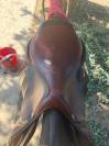 Selle CWD 2GS 17,5&ldquo;