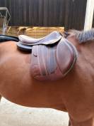 Selle Forestier S&eacute;oul 17,5" &ndash; 2AA &ndash; doubl&eacute;e veau &ndash; PRO 