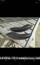Selle Isabell Werth 16,5