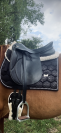 Selle de dressage ATEC Profi Germany 17,5