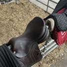 Sella mista CWD  17.5" - 2023