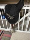 SELLE DE DRESSAGE  TIME RIDER PLATINIUM MODELE MISS YOU