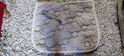 Tapis dressage 
