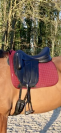 DRESSAGE FORESTIER AACHEN