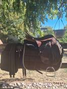 Selle de cheval St&uuml;bben Siegfried &eacute;quip&eacute;e