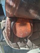 Selle de cheval St&uuml;bben Siegfried &eacute;quip&eacute;e