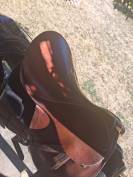 Selle de cheval St&uuml;bben Siegfried &eacute;quip&eacute;e