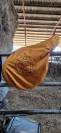 Selle Butet 17"