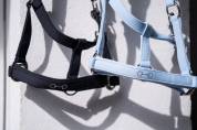 Licol Montalcino Sportive - Lauria Garrelli - Confort optimal