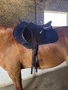 Selle Ikonic Horseball light 16,5 pouces 