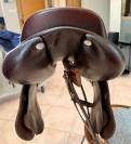Selle GBS de 2016