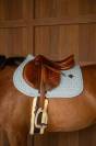 Tapis de selle Sparkling MIXTE - Kentucky - Tissu scintillant