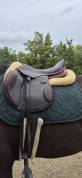 Selle mixte 
