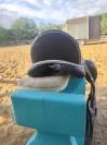 Selle dressage 17.5