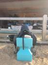 Selle dressage 17.5