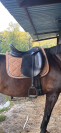 Selle dressage Kieffer Ulla Salzgeber