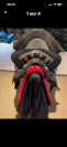 Selle zaldi