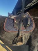 Sella mista  Ikonic  17" - 2024