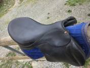 Selle forestier 