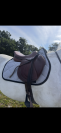 Tapis CSO Equiline