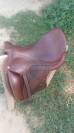 Vend selle dressage antar&egrave;s cadence 