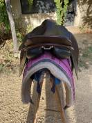 Selle islandais Nordica tophorse Scandinavia 17,5